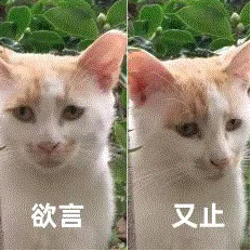 Anthropic CEO 阿莫迪整天神神叨叨讲 AI 毁灭世界,投资人受不了了