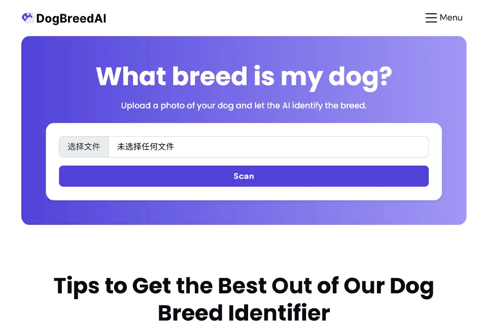 Dog Breed AI分析狗狗照片并识别可能犬种的界面示意