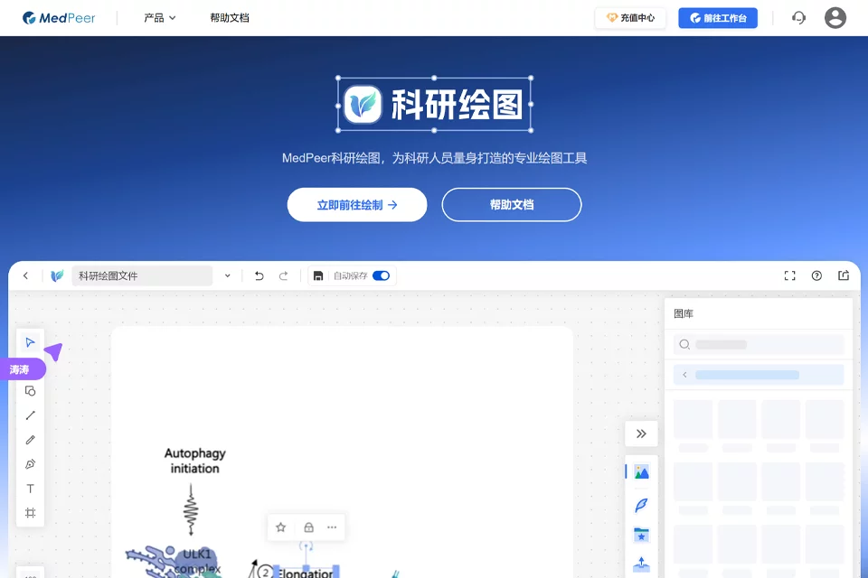 科研绘图在线制作学术插图的界面示意