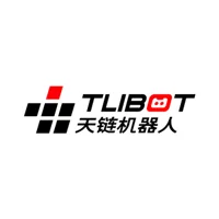 T1